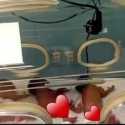 Ibu Muda Asal Mali Lahirkan 9 Bayi Kembar, Menkes Sambut Gembira: Semua Sehat Dan Baik-baik Saja