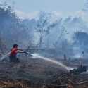 6 Polda Jadi Prioritas Perang Lawan Karhutla