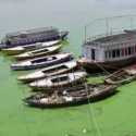 Sungai Gangga Berubah Jadi Hijau Dan Bau, Warga Uttar Pradesh Panik