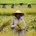 Mentan Perkuat Strategi Kolaborasi Untuk Pacu Produktivitas Pertanian