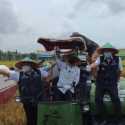 Mentan Turun Ke Sawah Bekasi, Pastikan Produksi Beras Petani Cukup Untuk Masa Pembatasan Covid-19