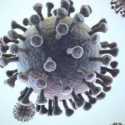 WHO: Virus Covid AT.1 Yang Terdeteksi Di Moskow Tidak Akan Disebut Sebagai Varian Rusia