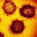 CDC: Virus Corona Berpotensi Memiliki Mutasi yang Kebal Terhadap Vaksin