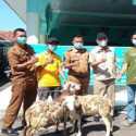 Di Kabupaten Cirebon, Usai Vaksinasi Covid-19 Warga Bisa Bawa Pulang Kambing