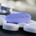 Vietnam Siapkan 16.000 Dosis Antivirus Molnupiravir untuk Penderita Covid yang Isoman di Rumah