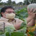 Airlangga Puji Inovasi Pemprov Kalsel yang Bantu Isoman Covid-19 dengan Hasil Panen Petani