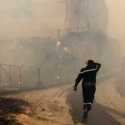 Kebakaran Hutan di Aljazair, Puluhan Warga Sipil Dan Tentara Tewas