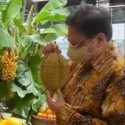 Bisa Tingkatkan Imunitas, Airlangga Hartarto Ajak Masyarakat Banyak Konsumsi Buah Nusantara