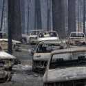 Kebakaran Hutan di California Utara Melahap 30.000 Hektar Lahan