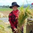 Perempuan dan Sistem Pertanian Egaliter