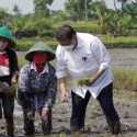 Momen Airlangga Dekati Petani Tandur Sambil Becek-becekan