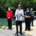 Jokowi Ingin Model Rehabilitasi Mangrove Tahura Ngurah Rai Ditiru Provinsi Lain