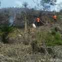 Tim Reaksi Cepat Berhasil Padamkan Kebakaran Lahan di Kampar