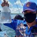 Polda Kaltim Tangkap Pelaku Penangkap Ikan Hias Pakai Obat Bius