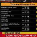 Erupsi Gunung Berapi Tonga, Tsunami Hantam Jepang
