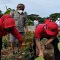 PDIP Banten Hijaukan Bantaran Cisadane dengn 5000 Pohon