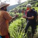 Hijaukan Lereng Bukit Comal, Ganjar Pranowo Tanam Pohon Bareng Warga Gunungsari
