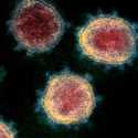 Ilmuwan Temukan Tiga Virus Corona Baru di Laos, Sangat Mirip dengan Covid-19