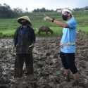 Lestarikan Bajak Sawah Tradisional, Amin Dapat Hadiah dari Sandiaga Uno