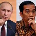 Putin dan Zelensky Sama-sama Untung Jika Penuhi Undangan Jokowi ke G20 Bali