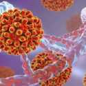 CDC Pastikan Vaksin Covid-19 Bukan Penyebab Hepatitis Misterius Anak-anak