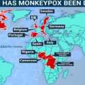 WHO: Tidak Perlu Vaksinasi Massal untuk Mengatasi Cacar Monyet