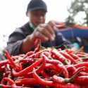 Harga Cabai Kian Pedas, di Empat Lawang Tembus Rp 100 Ribu per Kilogram