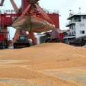 Harga Kedelai Brasil Tinggi, China Pilih Impor dari AS