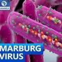 Virus Mematikan Ditemukan di Ghana, Apa yang Perlu Kita Ketahui Dari Virus Marburg?