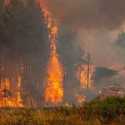 Prancis Kembali Dilanda Kebakaran Hutan, 900 Hektar Lahan Ludes Terbakar