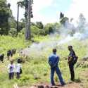 Pengembangan Kasus, Polisi Temukan 25 Hektare Ladang Ganja di Lamteuba Aceh Besar