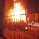 Jakarnaval di Sirkuit Formula E Molor, Satu Unit Mobil Hias Terbakar