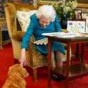 Corgi Kesayangan Ratu Elizabeth II akan Dirawat Pangeran Andrew dan Mantan Istri