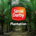 Perusahaan Malaysia Sime Darby Plantation Digugat ke PN Jakarta Pusat, Diduga Ciderai Hukum Indonesia