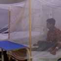 Dilanda Malaria, Pakistan Beli 6,2 Juta Kelambu Nyamuk dari India