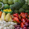 Gencarkan Revolusi Sayuran, Wilayah J&K Raup Untung Lebih dari Rp 551 Triliun Per Tahun
