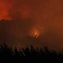 Korban Tewas dalam Bencana Kebakaran Hutan di Chili Bertambah menjadi 24 Orang