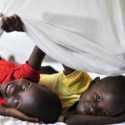 Cegah Malaria, Tanzania Bagikan 500 Ribu Kelambu ke Sekolah
