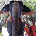 Jaga Kelestarian Hewan, Sebuah Kuil di India Gunakan Robot Gajah untuk Upacara