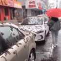 Video Hujan Cacing di China Bikin Warganet Bingung, Ada yang Sebut Itu Putik Bunga Poplar