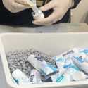 Vietnam Geger, Empat Pramugari Vietnam Airlines Selundupkan 10 Kilogram Narkoba dari Prancis