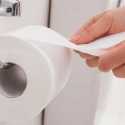 Ilmuwan Ungkap Kandungan Berbahaya Tisu Toilet, Bisa Sebabkan Kanker