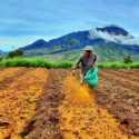 Bertani Tanpa Pupuk Kimia, Petani Milenial Bali: Kualitas Pupuk Organik Lebih Baik