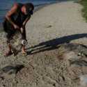 Puluhan Bangkai Ikan Pari Ditemukan Terdampar di Pesisir Pantai Brasil