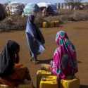 Bantu Negara Afrika Timur yang Kekeringan, Jepang dan FAO Luncurkan Bantuan