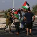 Bentrokan di Tepi Barat Pecah Lagi, 86 Warga Palestina Terluka
