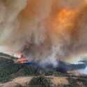 Kebakaran Hutan di Alberta Kanada, Belasan Ribu Penduduk Dievakuasi