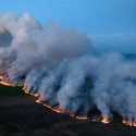 Kebakaran Hutan Meluas, Kanada Minta Bantuan Asing