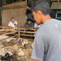 Sepi Pembeli, Omzet Penjual Hewan Kurban di Banda Aceh Turun 30 Persen