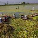 Berantas Pencemaran Lingkungan, India Ubah Puluhan Ton Limbah di Danau Dal jadi Pupuk Organik